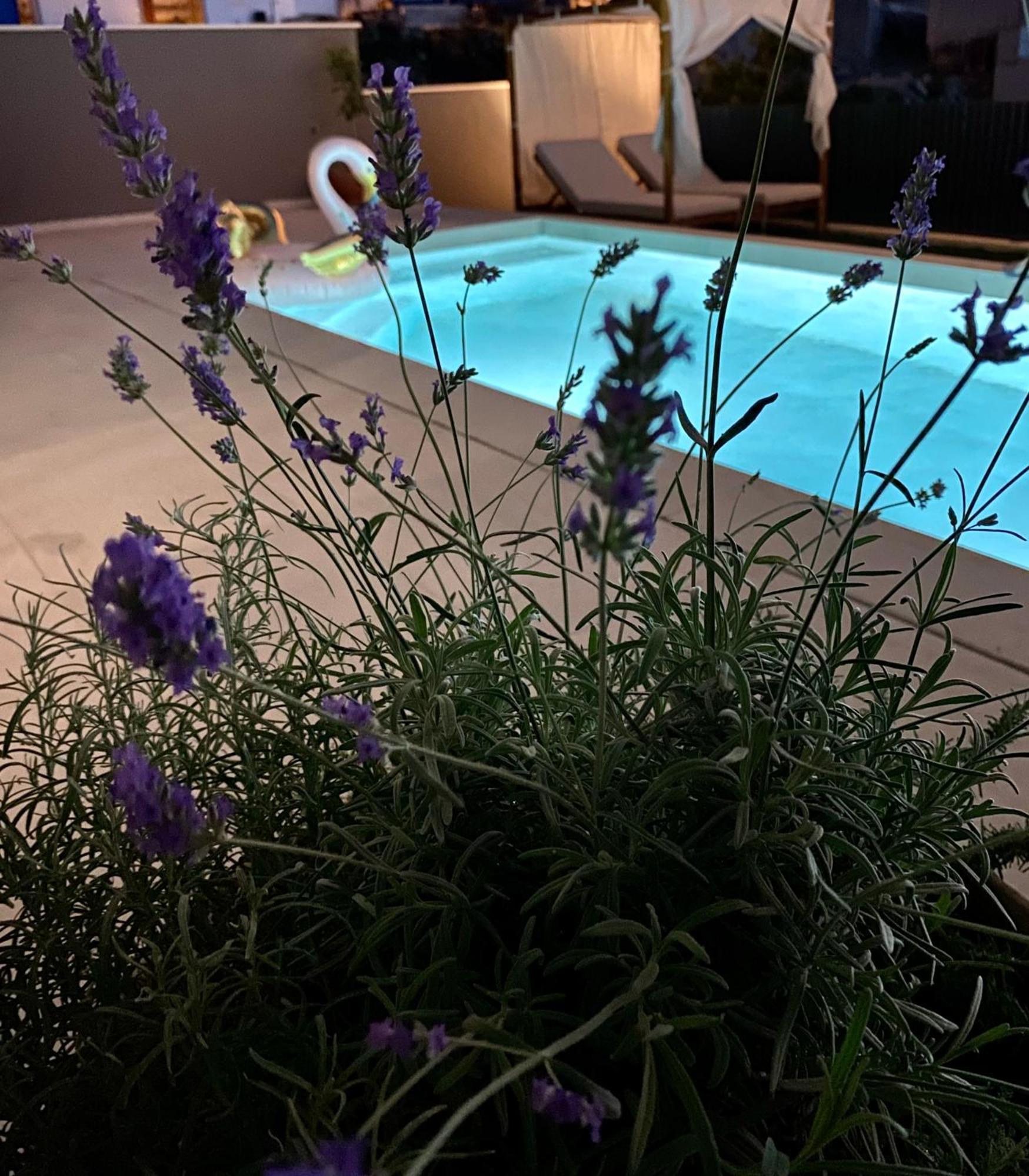 Villa 5 Makarská Exteriér fotografie
